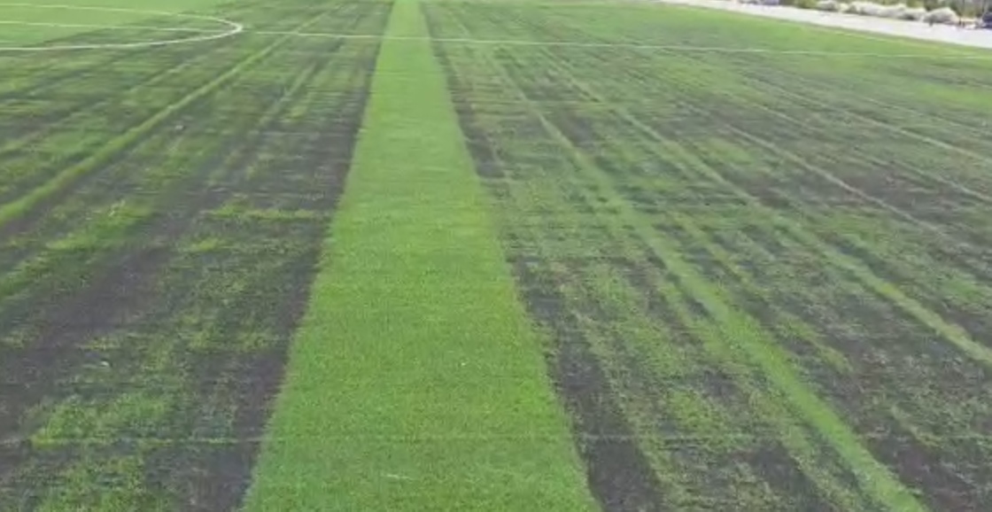Искусственная трава – классическое покрытие для стадионов СПБ